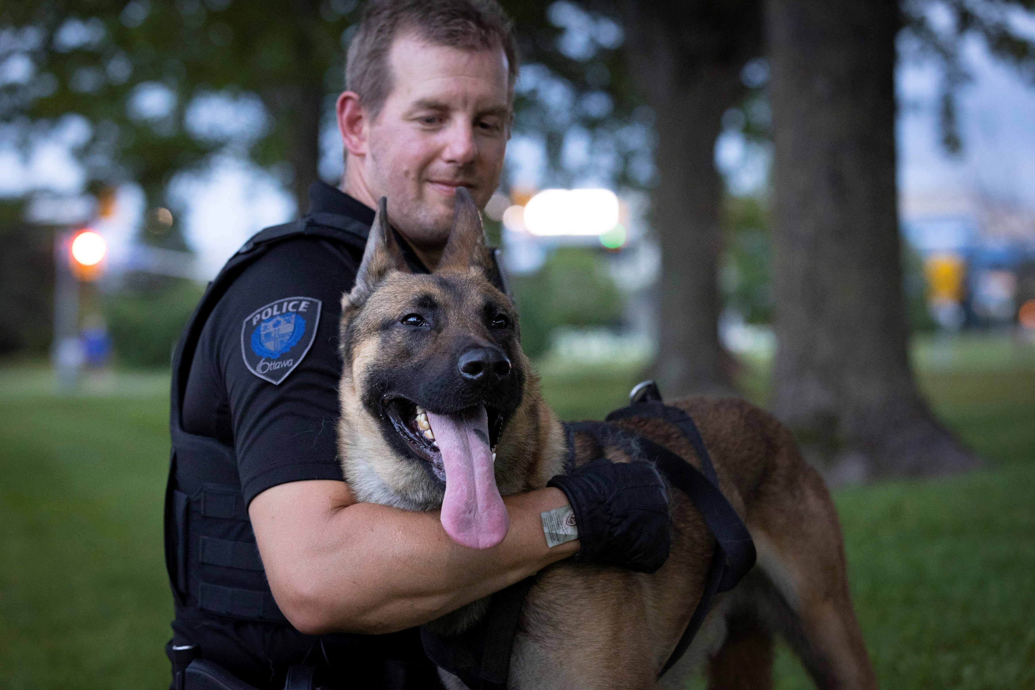 Ottawa Police Canine Unit dog
