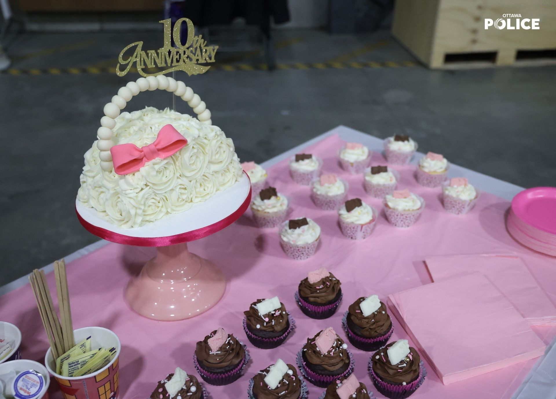 Purse Project tenth year anniversary cake