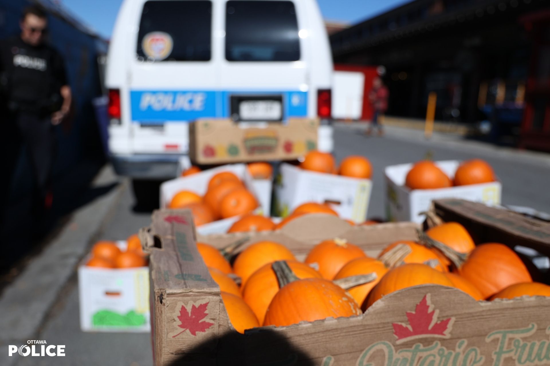 CPF and OPS help Ottawa woman deliver pumpkins in Lowertown neighbourhood