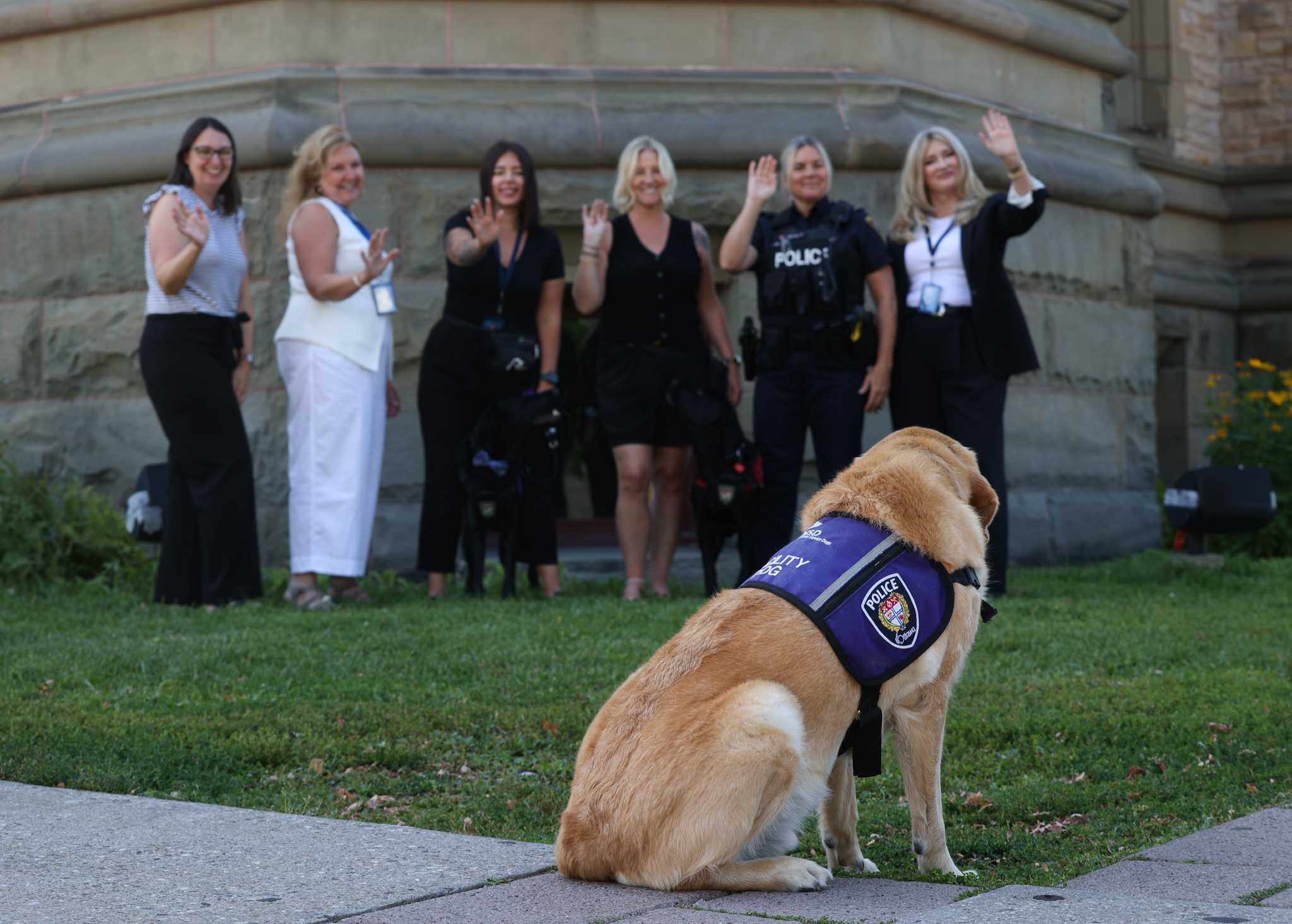 Dog handlers saying goodbye to K9 West