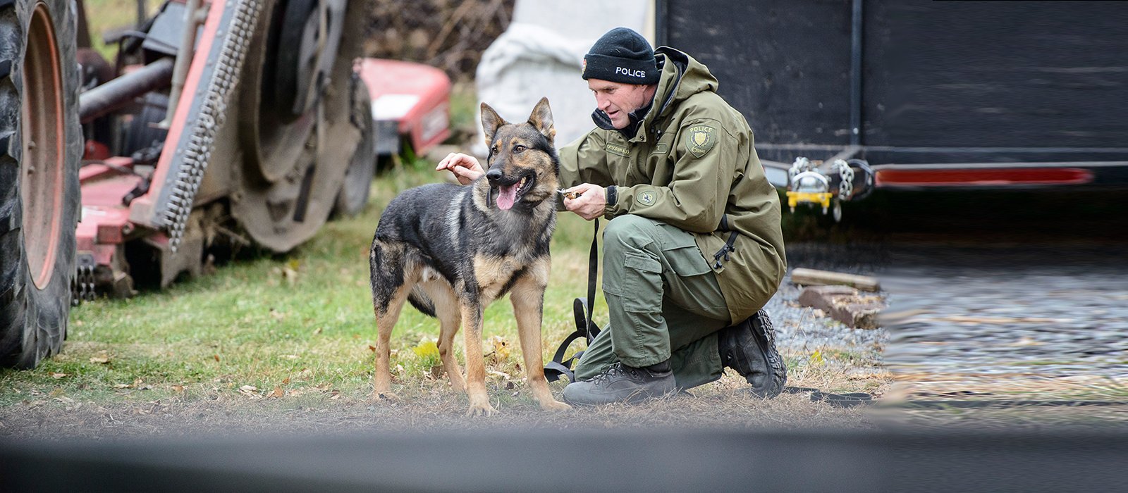 Un agent du Service de police d'Ottawa travaille avec son partenaire canin lors d'une recherche.