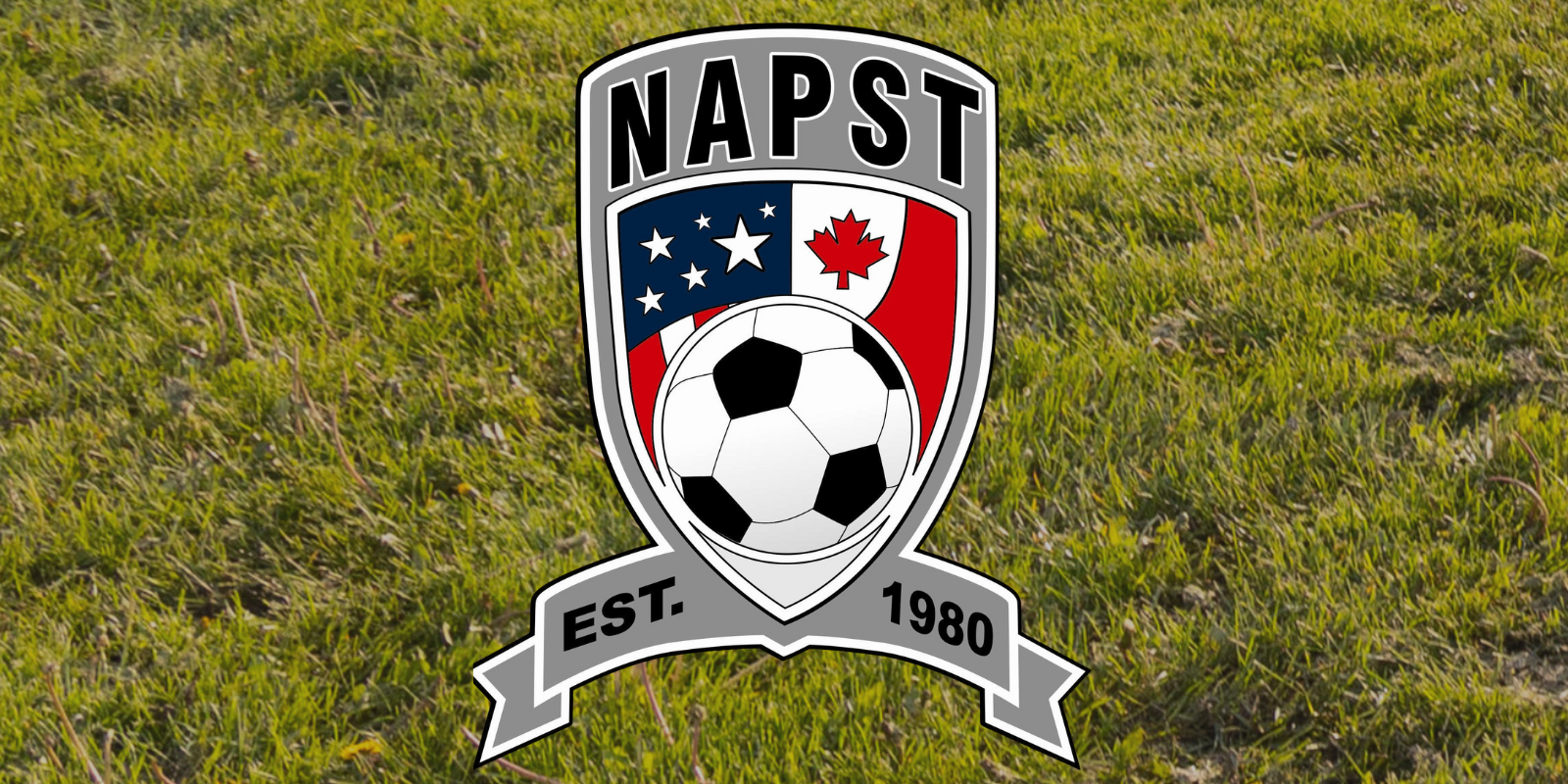 NAPST soccer tournament logo