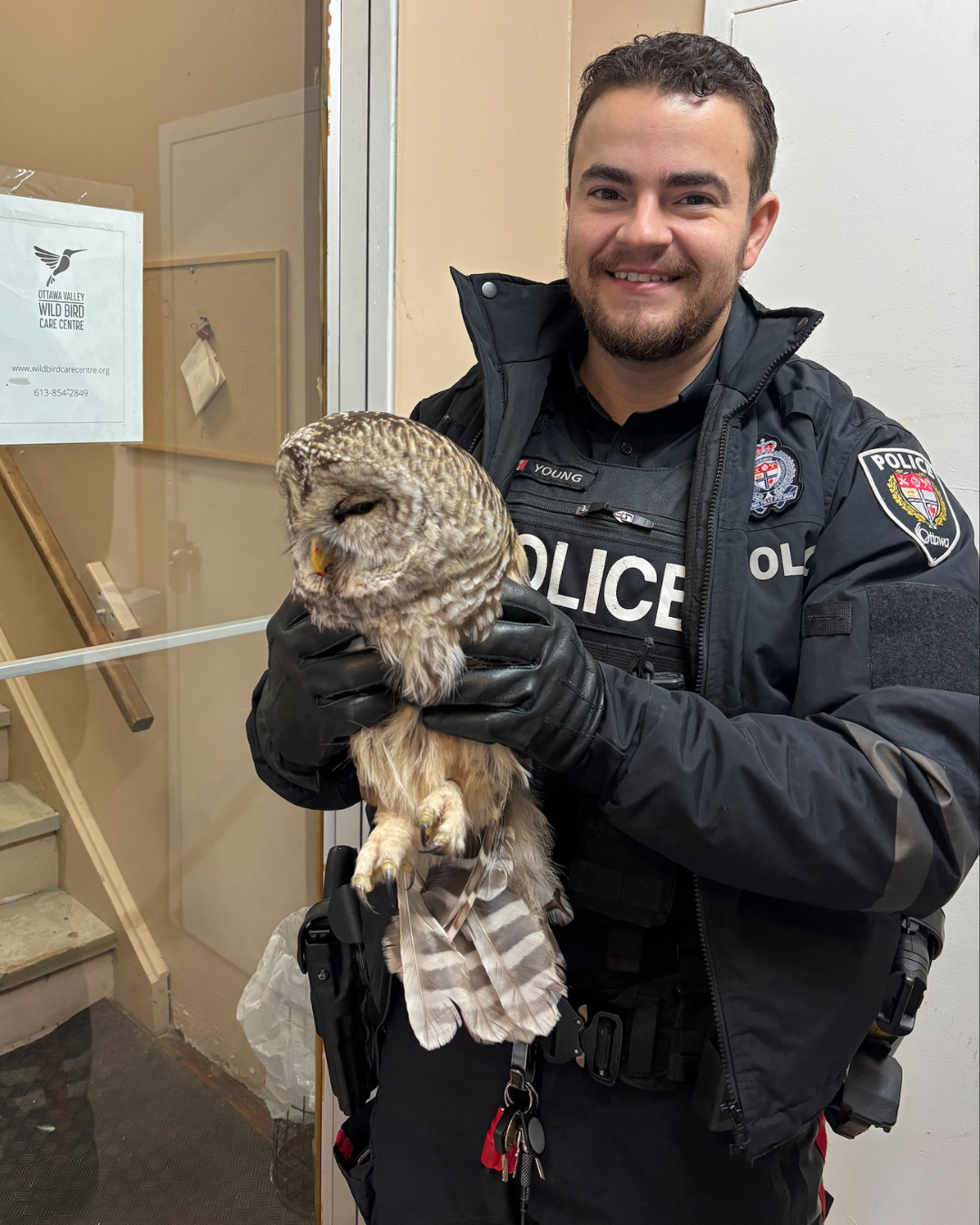 Constable Young with the rescued owl