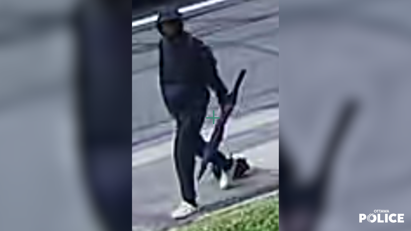 Suspect to identify in hate-motivated assault investigation