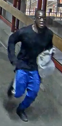 Robbery Queensway Park Suspect(b)