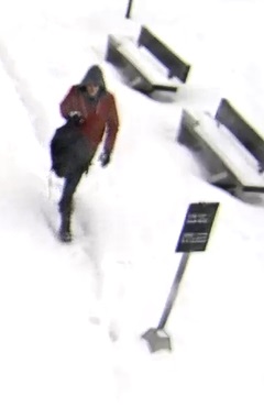 Suspect to ID-1