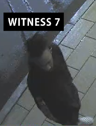 witness 7