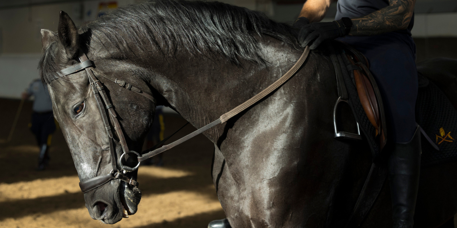Mounted Unit - Ottawa Police Service