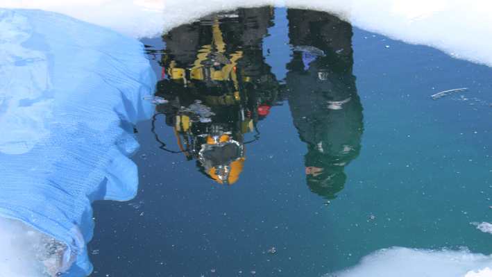 Reflet dans l'eau d'un plongeur se préparant à participer à un entraînement sur glace