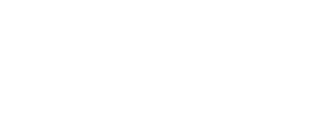 Ottawa Police white logo