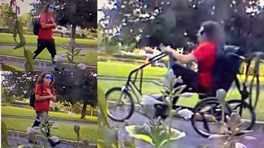 Suspect in bike theft. Man wearing red shirt and sunglasses
