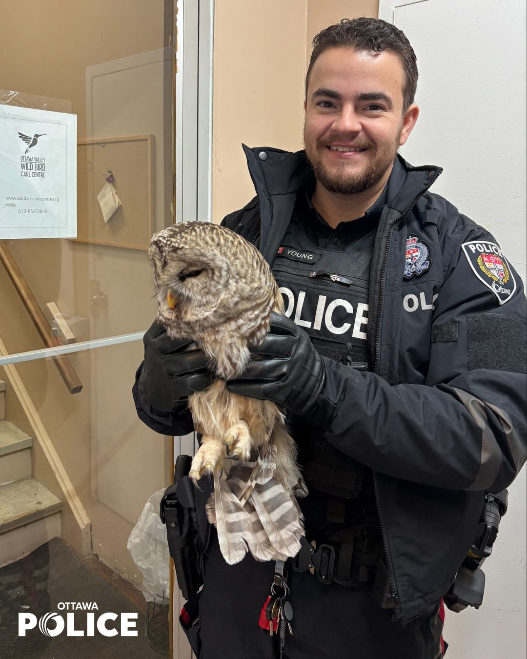 A feathered rescue on the morning shift